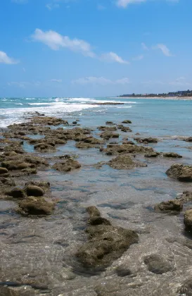 4-Star-Hotels in West Palm Beach