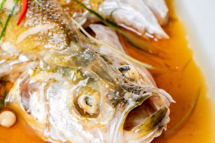 武夷山观蓝舒苑空间·餐厅