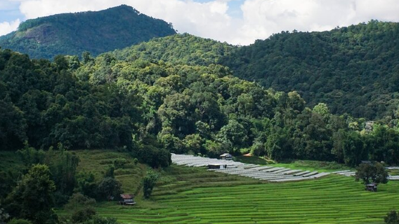 Pha Dok Sieo Nature Trail