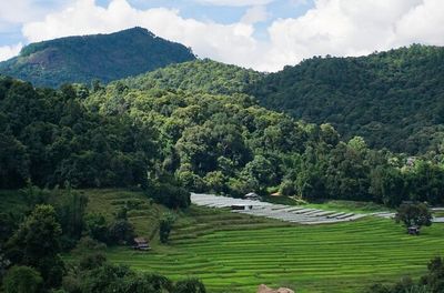 Pha Dok Sieo Nature Trail