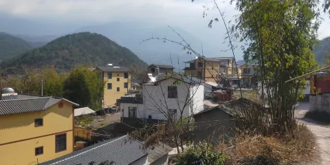 沙坪村