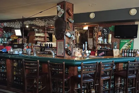 The Black Turtle
