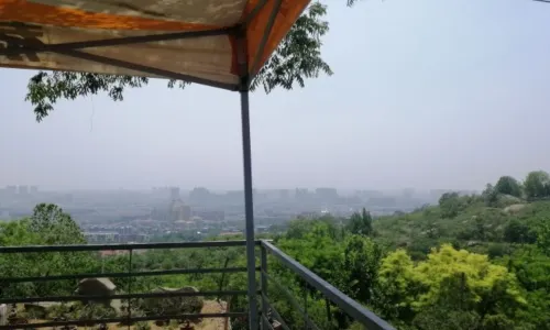 山水炒雞
