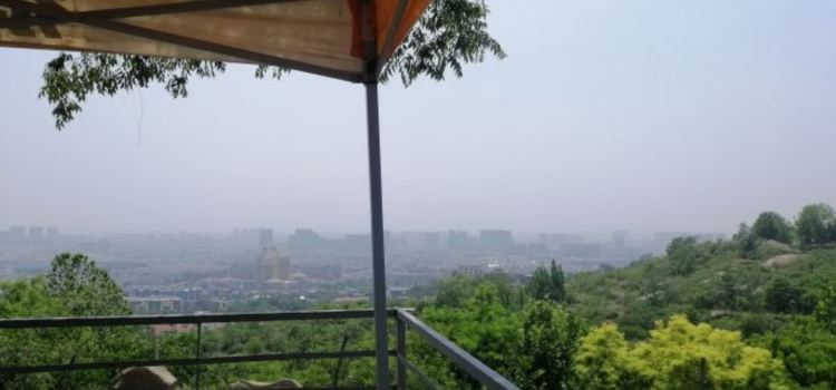 山水炒雞