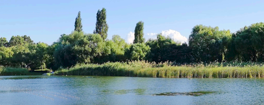 Peace Park