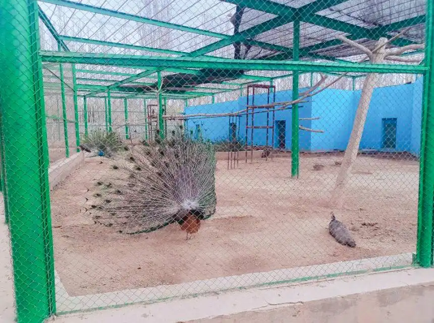 Hotel in zona Kaxgar Zoo (North Gate)