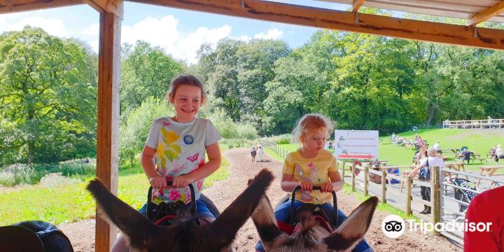 Smithills Open Farm