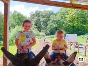 Smithills Open Farm