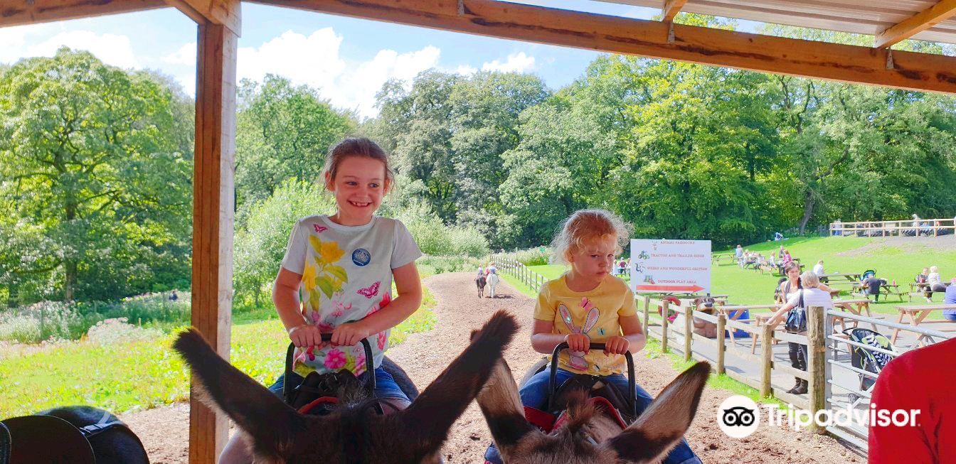 Smithills Open Farm