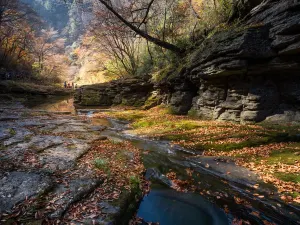 Liping National Forest Park