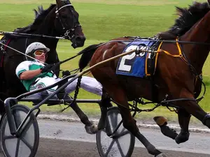 Tioga Downs Racetrack LLC