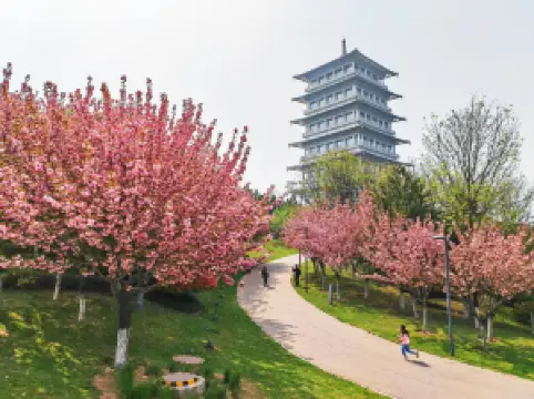 พื้นที่แสดงเวิลด์เอ็กซ์โป