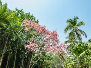 Xishuangbanna Tropical Botanical Garden, Chinese Academy of Sciences