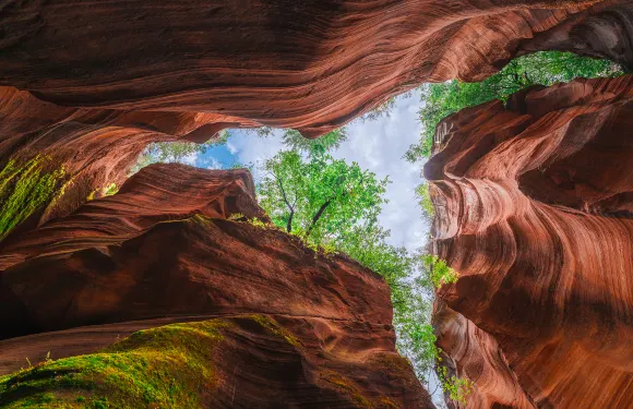 瀛湖風景區門票＋甘泉大峽谷門票 + 甘泉大峽谷景區交通車票大小同價