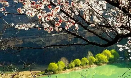 เจ้าหน้าที่ห่าน