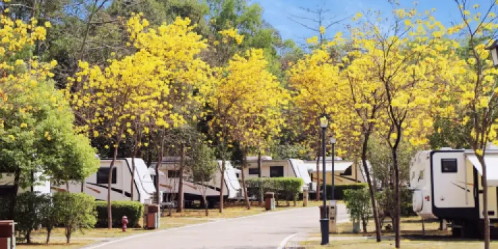 美的鷺湖森林公園度假區