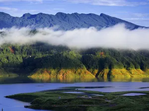 Elegant Woman Lake