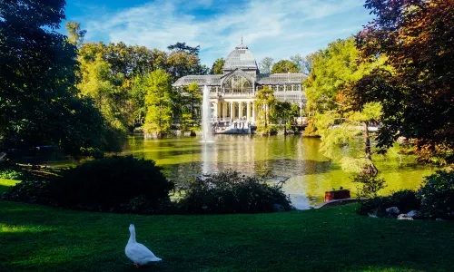 El Retiro Park