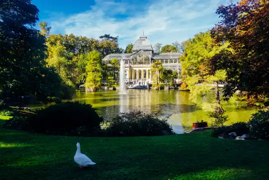 Hotels near El Retiro Park