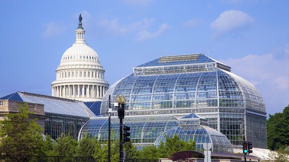 Washington D.C.