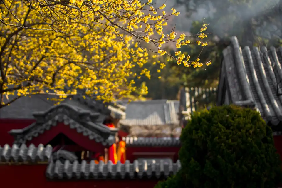 2_Pu Zhao Temple