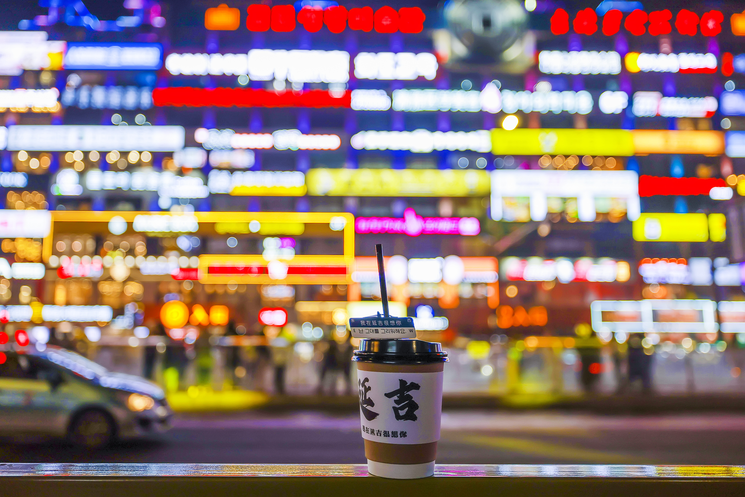 대학성 인기 벽