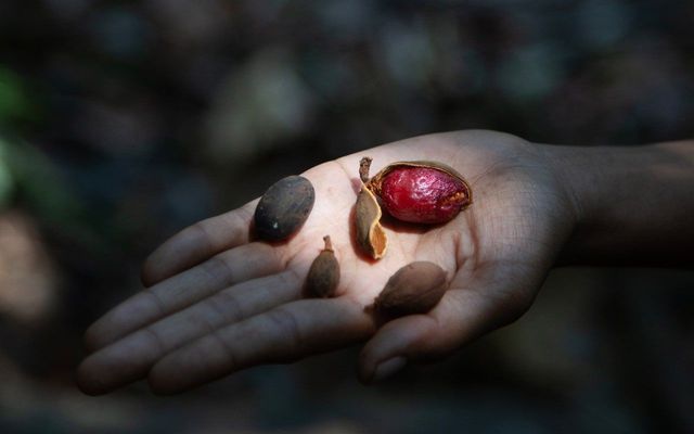 《聚集之地：共存實踐》藝術展覽 | 藝術與媒體中心