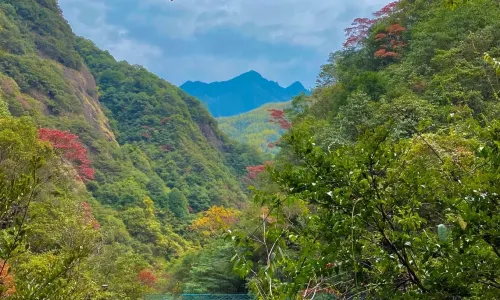 Yaowang Mountain Scenic Area