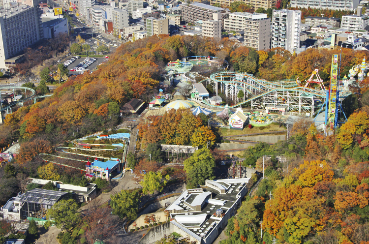 名古屋10大賞秋好去處