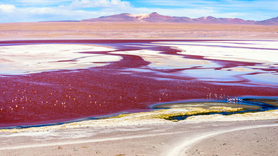 Laguna Colorada