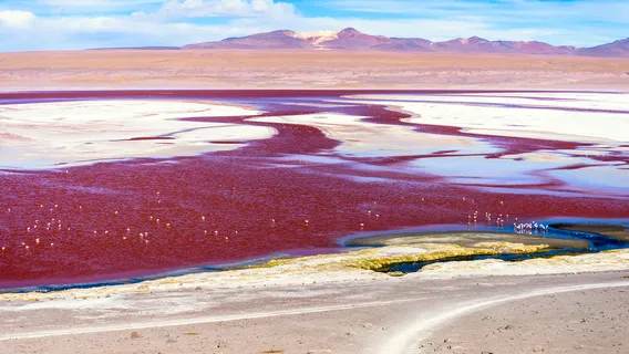 Laguna Colorada