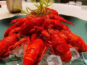 杜小碗· 沁园茶馆(大龙湖店)