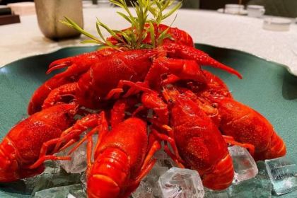 杜小碗· 沁园茶馆(大龙湖店)