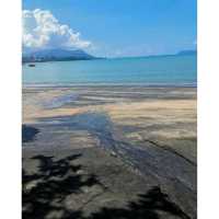 Black Sand Beach 