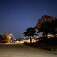서울의 야경, 낙산공원