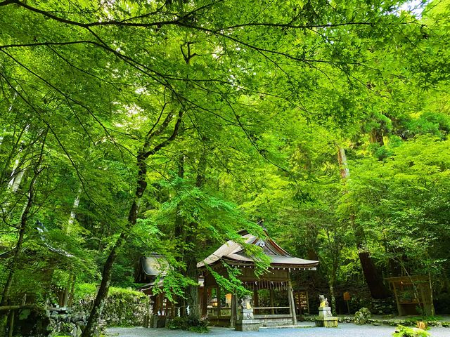 貴船神社、再び