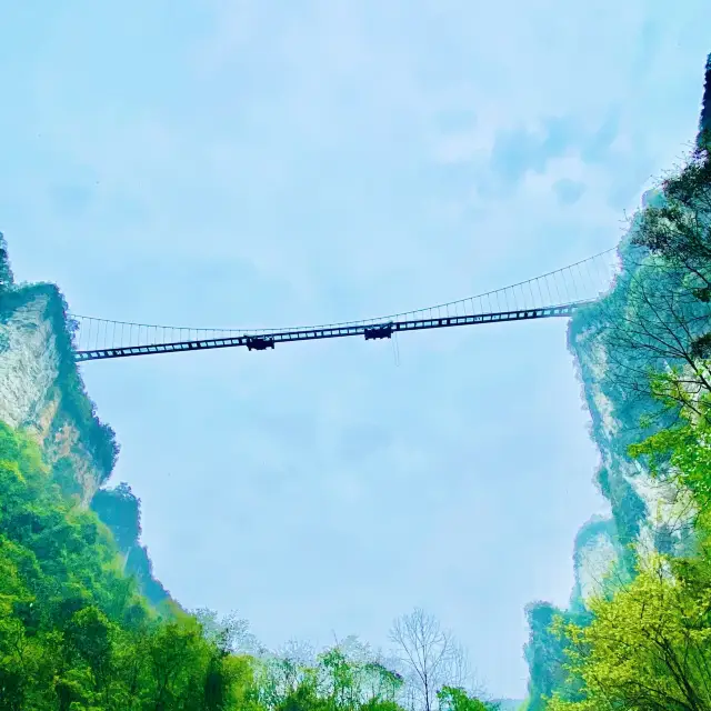 #ZhangjiajieChina