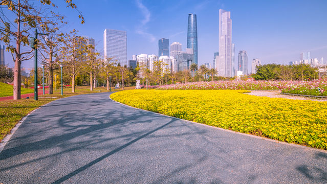 IFC (Guangzhou International Finance Centre)