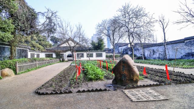 杭州出發：紹興蘭亭+沈園+魯迅故里景區+安昌古鎮一日遊【私家團】