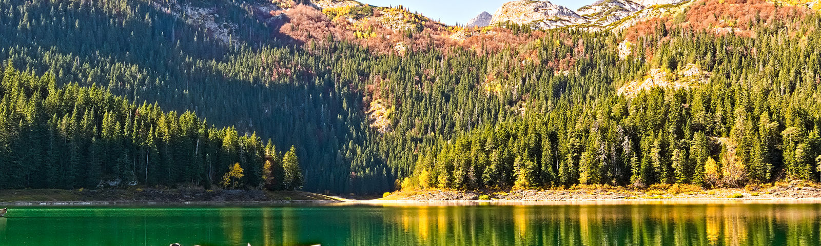 PitomineExcursions d'une journée