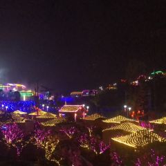 竹林湾 User Photo