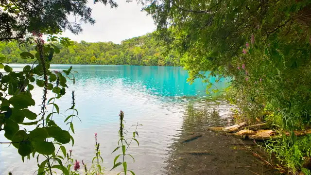 Hotels near Shihua Park