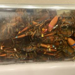 Fook Yuen Seafood Restaurant User Photo