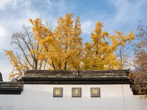 Lion Grove Garden(Shizilin Garden)