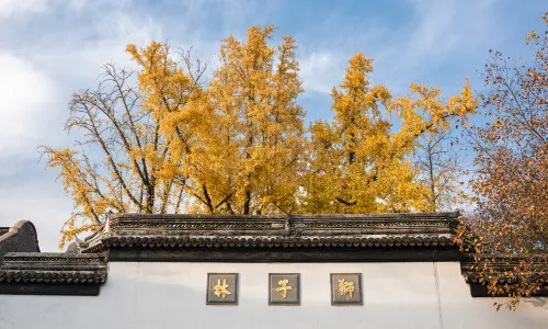 스쯔린(사자림)