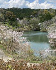 ひき岩群國民休養地