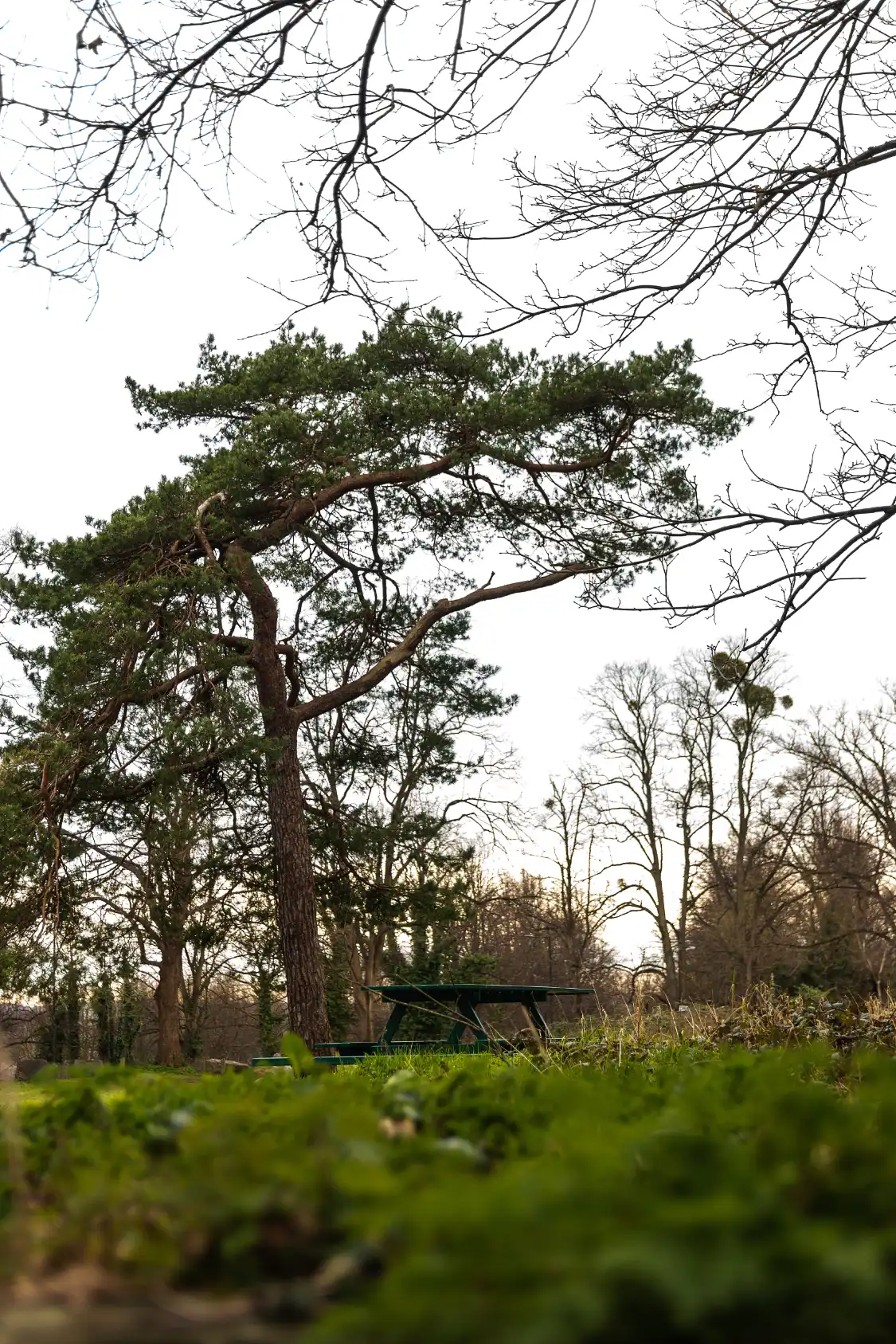 Hotels near Park Charlottenhof