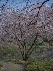 婁底新化獅子山公園