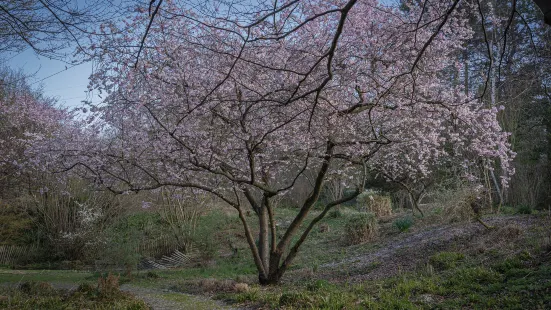 สวนสิงโตภูเขานิเวศ