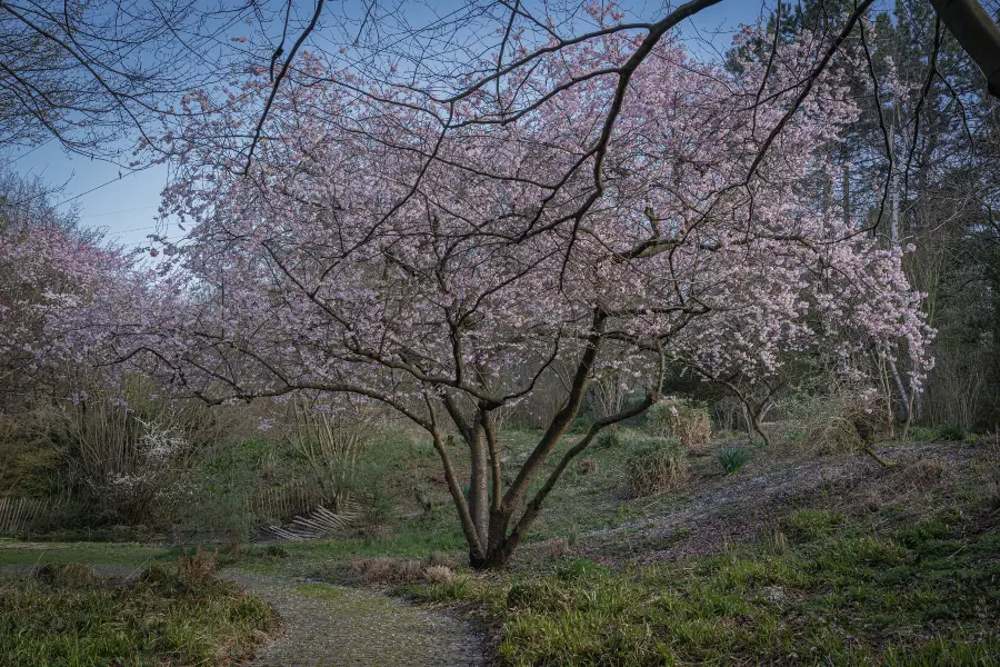 婁底新化獅子山公園